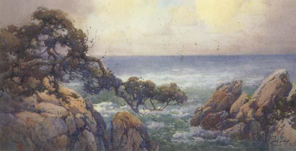 unknow artist Cypress Trees on the Monterey Coast Norge oil painting art